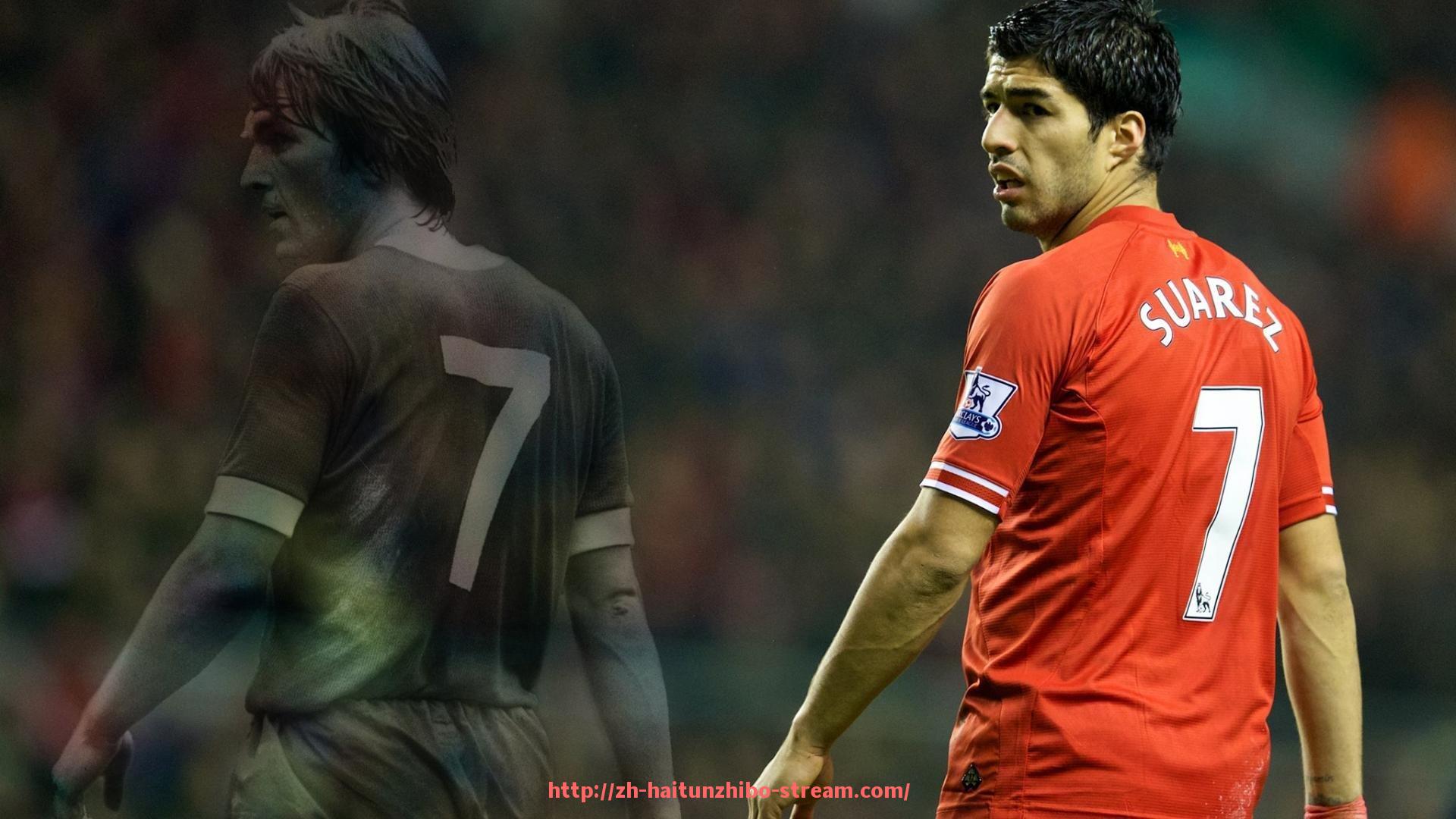 海豚直播-国内大型健身器材生产厂家实力排行榜及介绍