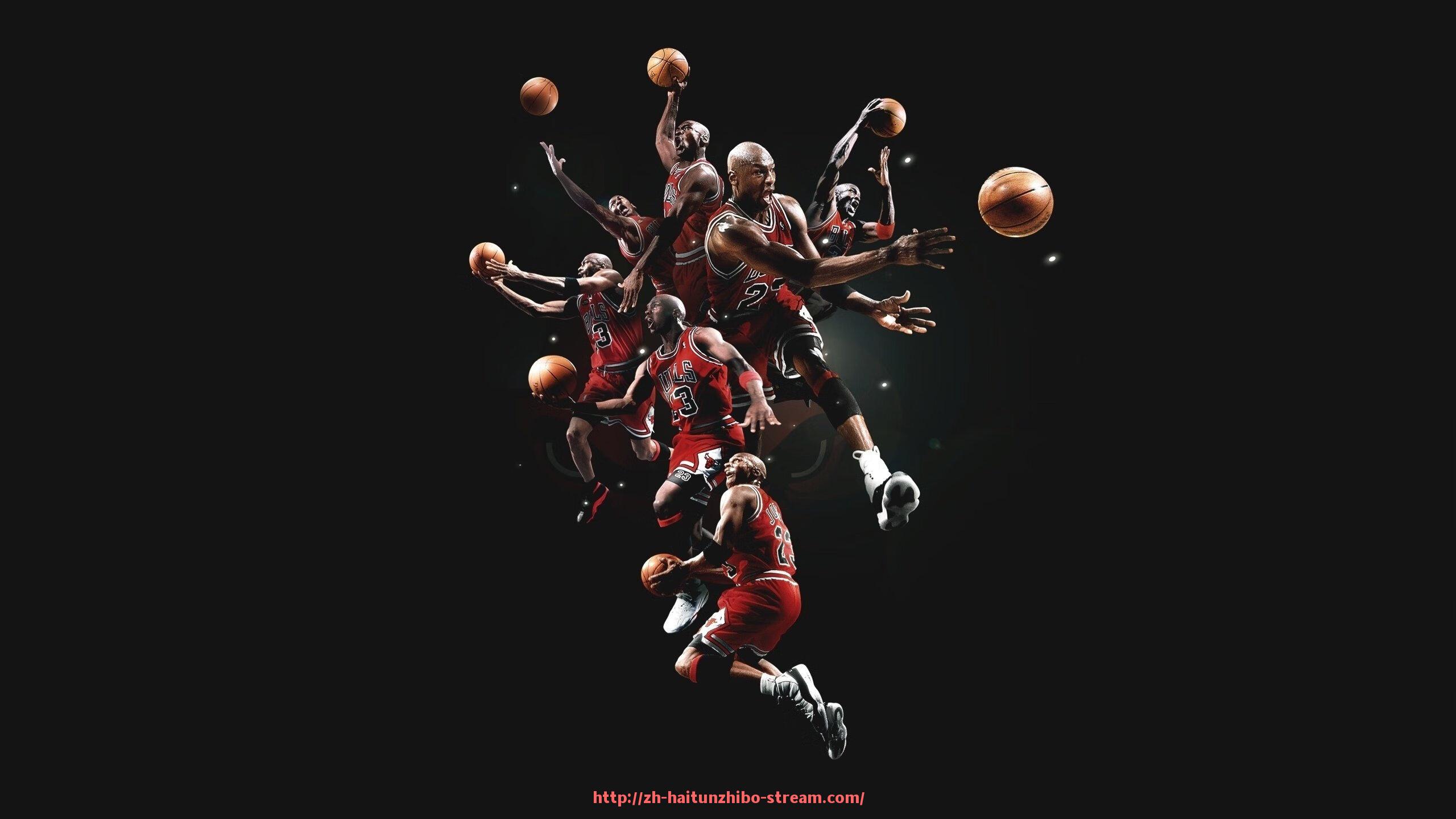 海豚直播-国内大型健身器材生产厂家实力排行榜及介绍